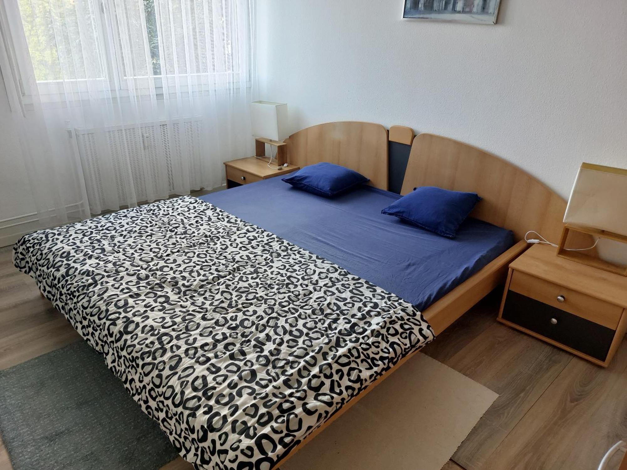 3 Zimmer Apartment In Saint Louis, Nahe Euroairport Eksteriør bilde